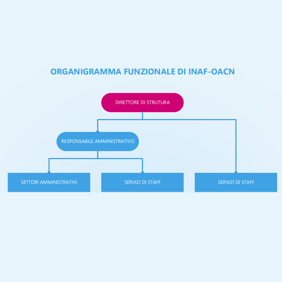 organigramma
